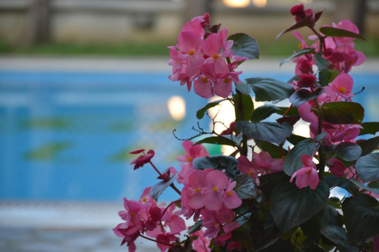 קאנוני Corfu Hellinis Hotel מראה חיצוני תמונה